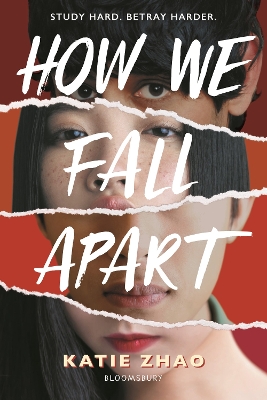 Book cover for How We Fall Apart