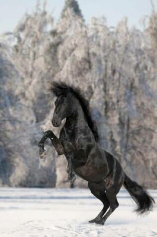 Cover of Black Kladruber Rearing Czech Horse Journal