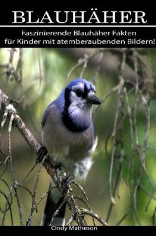 Cover of Blauhaher