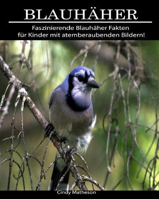 Book cover for Blauhaher