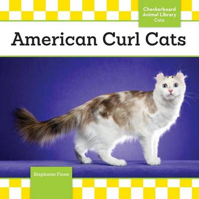 Cover of American Curl Cats