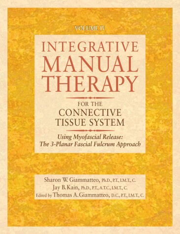 Book cover for Integrative Manual Therapy for the Connective Tissue System