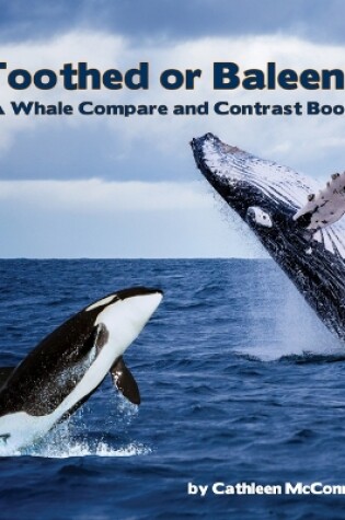 Cover of Toothed or Baleen? a Whale Compare and Contrast Book