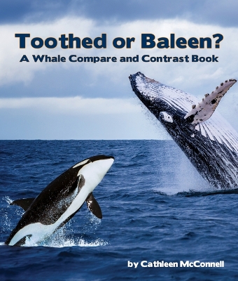 Book cover for Toothed or Baleen? a Whale Compare and Contrast Book