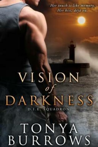 Cover of Vision of Darkness