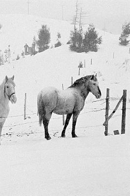 Cover of 2019 Weekly Planner Winter Theme Horses In Winter 134 Pages