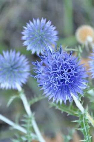 Cover of Blue Thistle Plant Journal