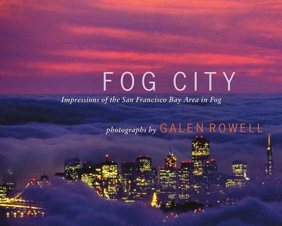 Book cover for Fog City