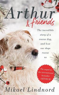 Book cover for Arthur and Friends