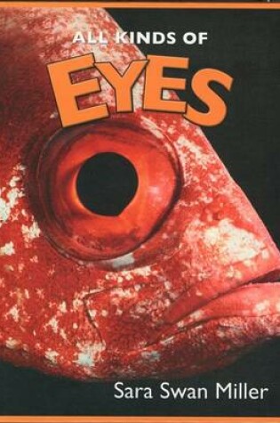 Cover of All Kinds of Eyes