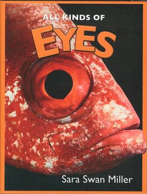 Book cover for All Kinds of Eyes
