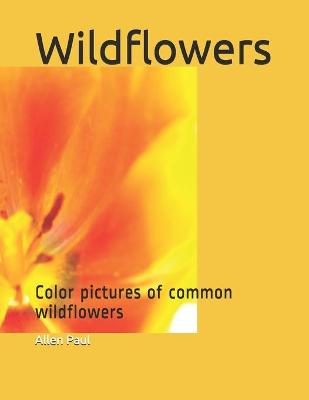 Book cover for Wildflowers