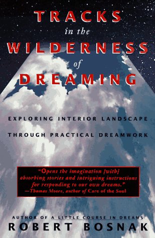 Book cover for Tracks in the Wilderness
