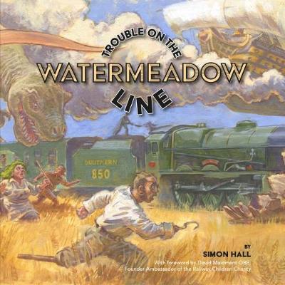 Book cover for Trouble on the Watermeadow Line