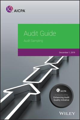 Book cover for Audit Guide