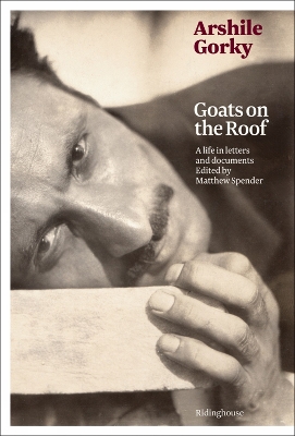 Book cover for Arshile Gorky: Goats on the Roof