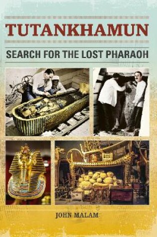 Cover of Reading Planet: Astro - Tutankhamun: Search for the Lost Pharaoh - Mars/Stars band