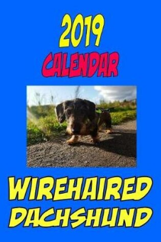 Cover of 2019 Calendar Wirehaired Dachshund