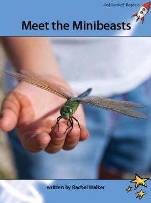 Cover of Meet the Minibeasts