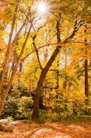 Cover of Golden Forest in Fall