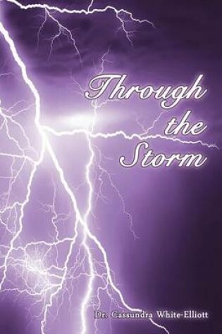 Cover of Through the Storm