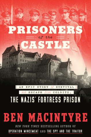 Cover of Prisoners of the Castle