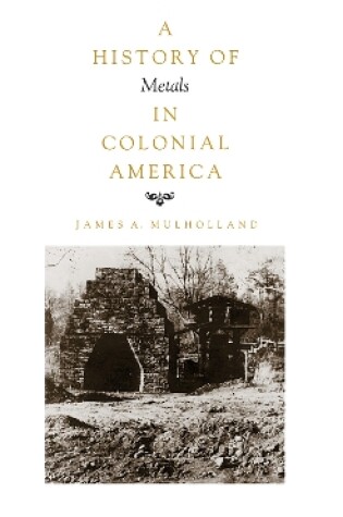 Cover of History of Metals in Colonial America
