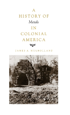 Book cover for History of Metals in Colonial America