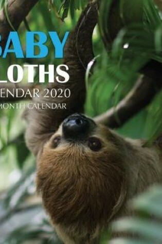 Cover of Baby Sloths Calendar 2020