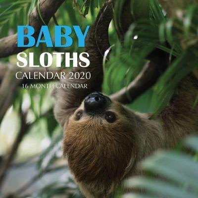 Book cover for Baby Sloths Calendar 2020