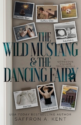 Book cover for The Wild Mustang and The Dancing Fairy