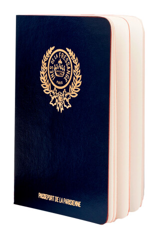 Book cover for Parisian Chic Passport (blue)