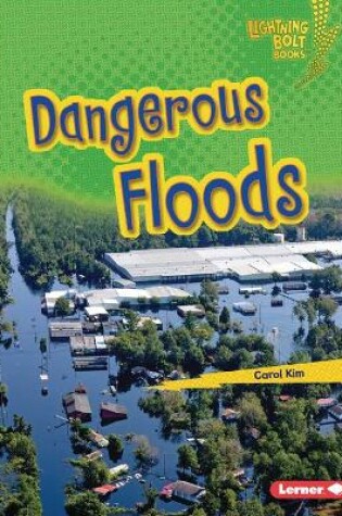 Cover of Dangerous Floods