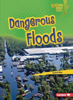 Book cover for Dangerous Floods