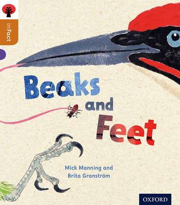 Book cover for Oxford Reading Tree inFact: Level 8: Beaks and Feet