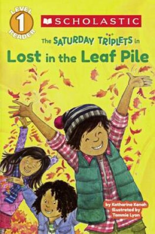 Cover of Lost in the Leaf Pile