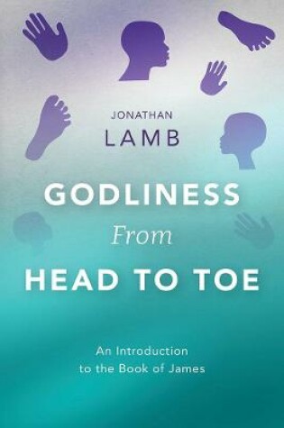 Cover of Godliness from Head to Toe