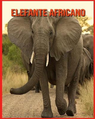 Book cover for Elefante Africano