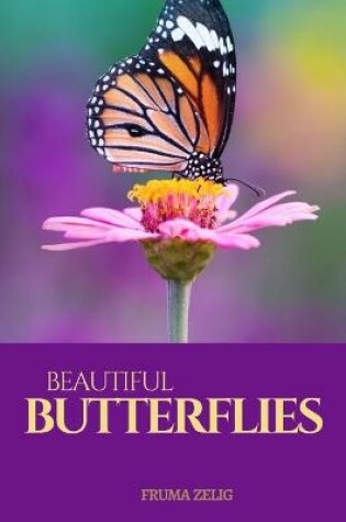 Cover of Beautiful Butterflies