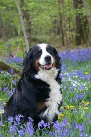 Cover of Bernese Mountain Dog