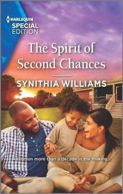 Cover of The Spirit of Second Chances