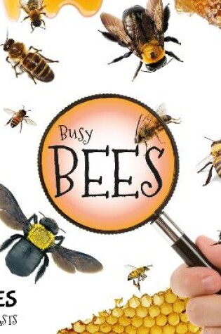Cover of Busy Bees