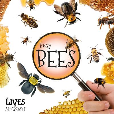 Cover of Busy Bees