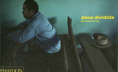 Book cover for Alma Dividida