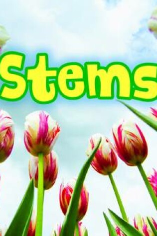 Cover of All About Stems