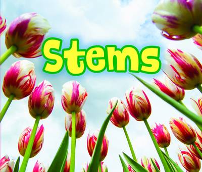 Cover of All About Stems