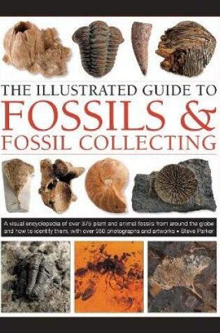 Cover of Fossils & Fossil Collecting, The Illustrated Guide to
