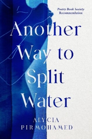 Cover of Another Way to Split Water