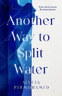 Book cover for Another Way to Split Water