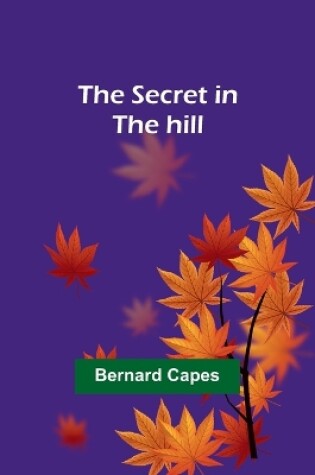 Cover of The secret in the hill